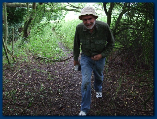 600x449 pixels (178K)